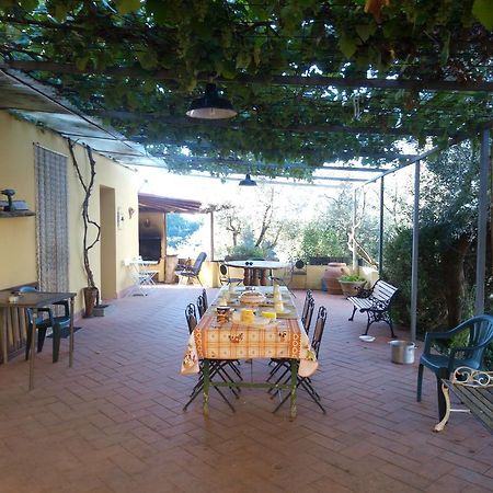 Agriturismo Il Cavallone Villa Montelupo Fiorentino Exteriör bild