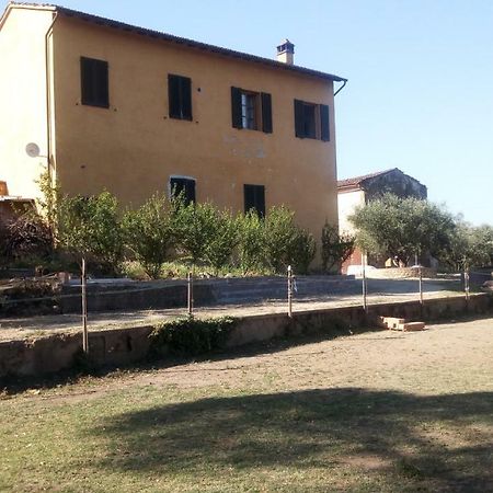 Agriturismo Il Cavallone Villa Montelupo Fiorentino Exteriör bild