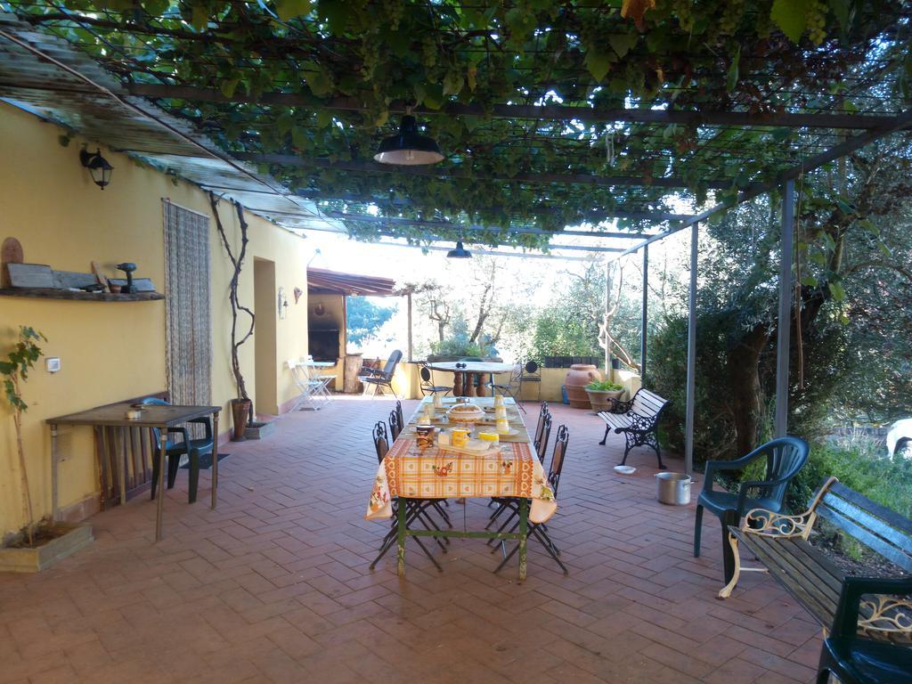 Agriturismo Il Cavallone Villa Montelupo Fiorentino Exteriör bild